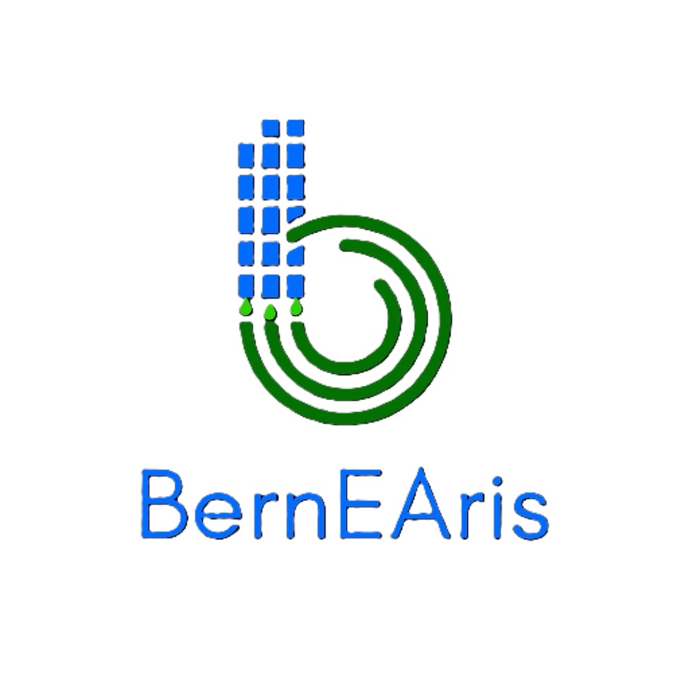 Bernearis Company Limited Logo